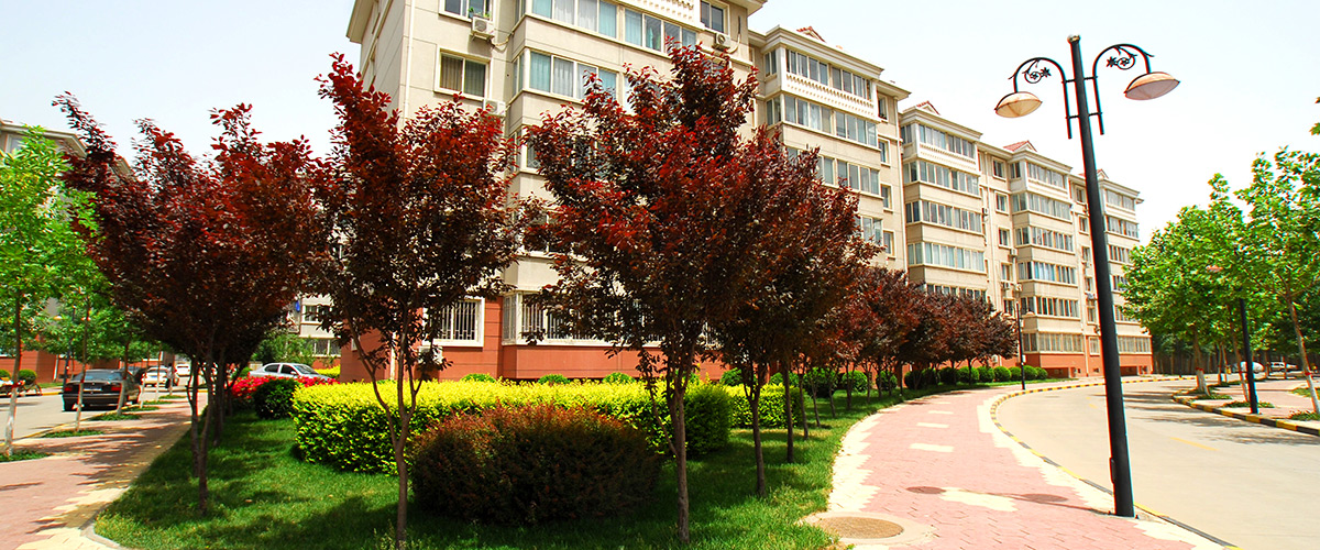 �ӱ�tyc1286̫���ɼ��ŷ��ز������������޹�˾