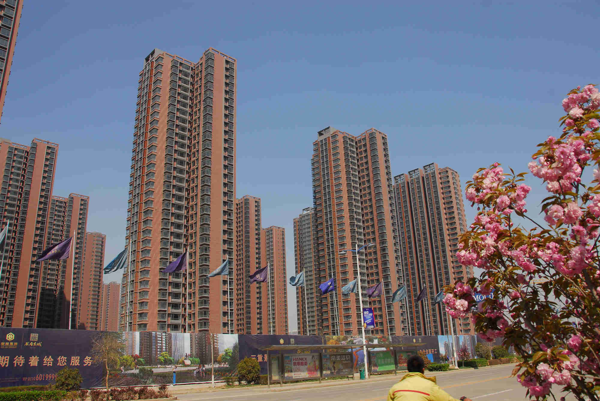 tyc1286̫���ɼ��Ŷ����׸�