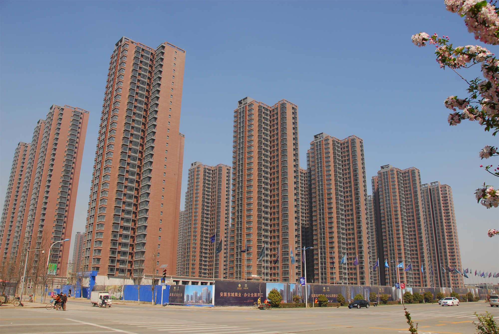 tyc1286̫���ɼ��Ŷ����׸�