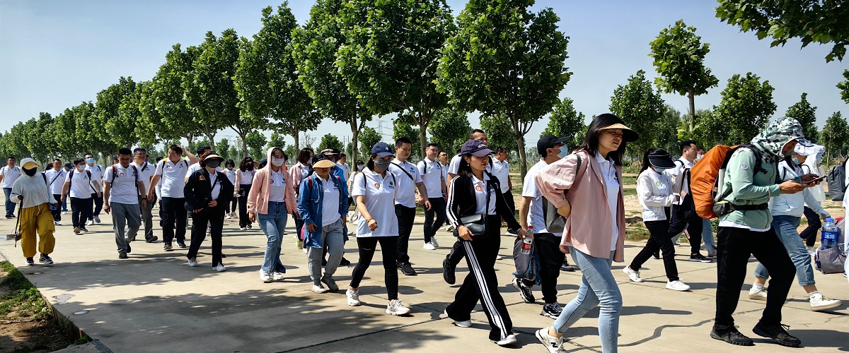 tyc1286̫������(����)���޹�˾